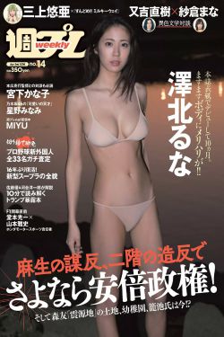 天堂马帮电视剧全集